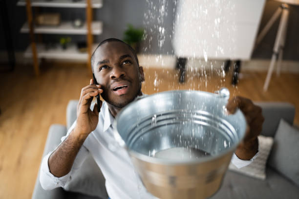 Best Local water damage restoration  in Hereford, TX