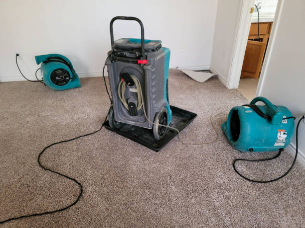 Best Professional water damage repair  in Hereford, TX