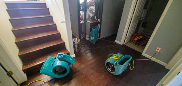 Best Water damage restoration near me  in Hereford, TX