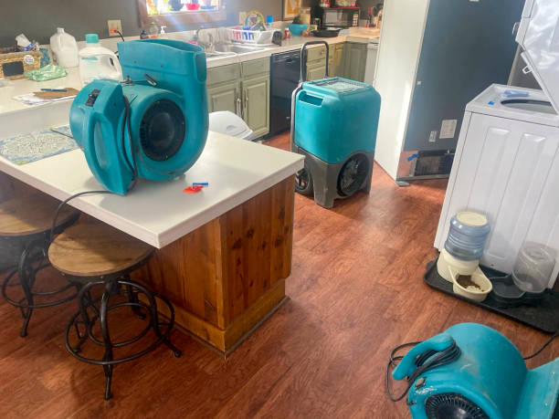 Best Commercial water damage restoration  in Hereford, TX