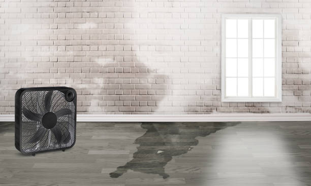 Best 24/7 water damage repair  in Hereford, TX