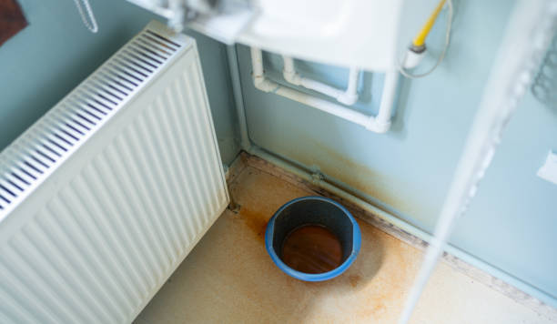 Best Water damage cleanup near me  in Hereford, TX