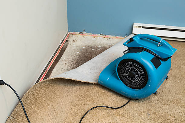 Best Sewage cleanup and water damage restoration  in Hereford, TX